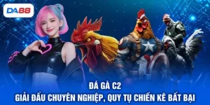 Đá Gà C2 - Giải Đấu Chuyên Nghiệp, Quy Tụ Chiến Kê Bất Bại