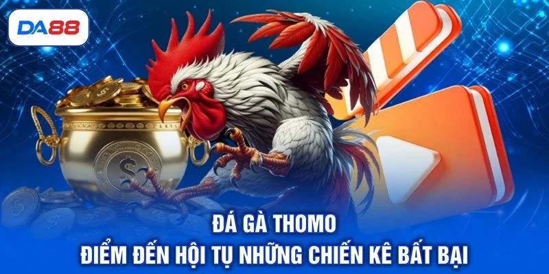 Đá Gà Thomo - Điểm Đến Hội Tụ Những Chiến Kê Bất Bại 1 Đá Gà Thomo - Điểm Đến Hội Tụ Những Chiến Kê Bất Bại