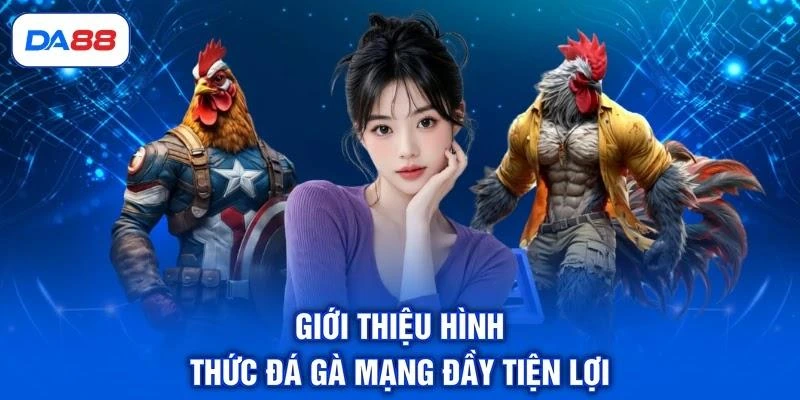 gioi-thieu-hinh-thuc-da-ga-mang-day-tien-loi Giới thiệu hình thức đá gà mạng đầy tiện lợi
