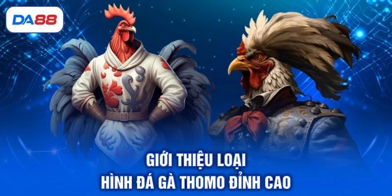 gioi-thieu-loai-hinh-da-ga-thomo-dinh-cao Giới thiệu loại hình đá gà Thomo đỉnh cao