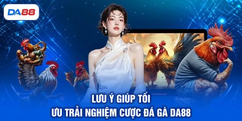 luu-y-giup-toi-uu-trai-nghiem-cuoc-da-ga-da88 Lưu ý giúp tối ưu trải nghiệm cược đá gà DA88